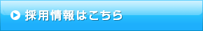 採用情報はこちら